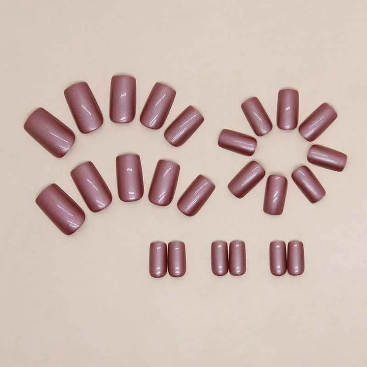 Taro Aurora (24Pcs)